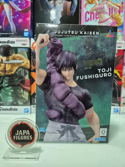 Toji Fushiguro – Jujutsu Kaisen – Luminasta – Sega